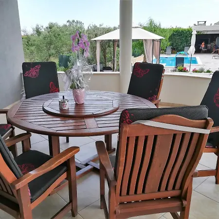 Stella * 罗戈兹尼察