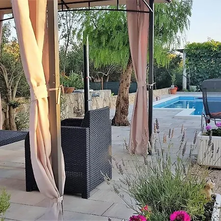 Stella 罗戈兹尼察